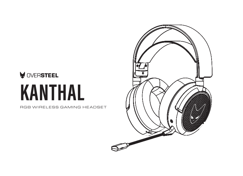 X3 Spain OEM gaming headset case study RoHS certificate support